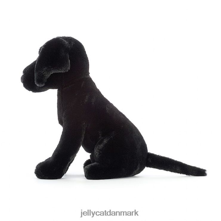 legetøj LHVJ00125 pippa labrador sort Jellycat
